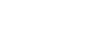 Platinum Logo